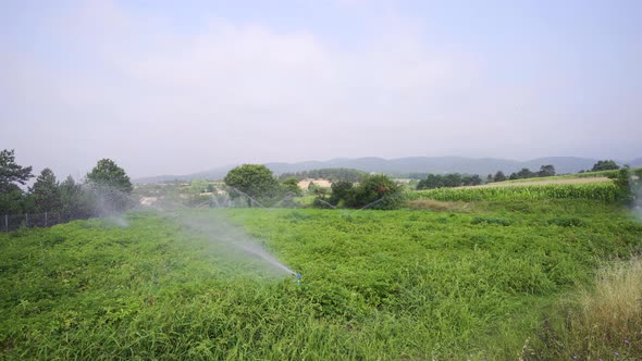 Agricultural watering. alt
