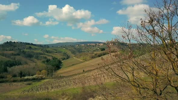 Hills with vineyards, San Gimignano, Tuscany, Italy