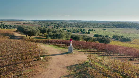 Aerial Footage of a Man Sitting at the Observation Point at Charming Vineyard alt
