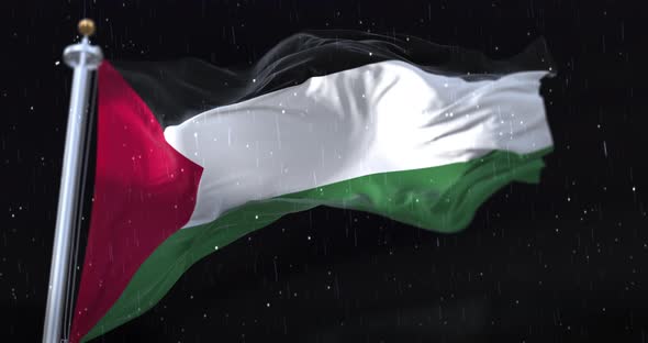 Flag of Palestine Waving alt