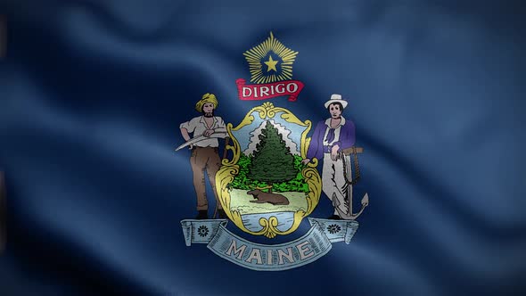 Maine State Flag Front