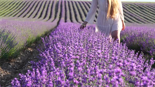 A Young Woman Gently Caresses Lavender Bushes with Her Hand in a Boho Style Bracelet alt