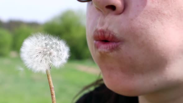 Portrait of a Beautiful Young Woman on a Summer Lawn Blowing on a Ripe Dandelion on a Sunny Day alt