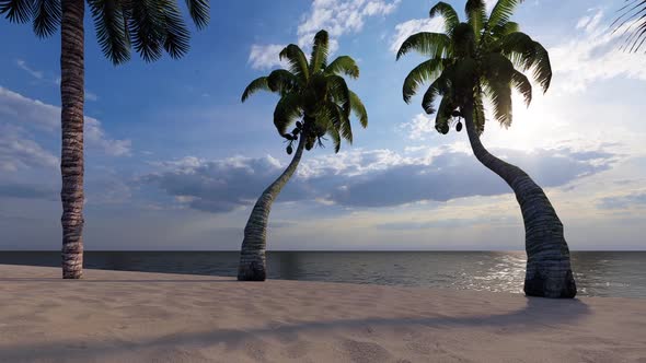 Island With Palm Trees