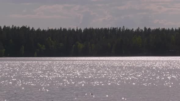 Idyllic Shot of Sunlight Reflecting Off of a Lake in Finland