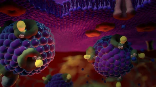 Ion Channels in Epithelial Cells alt