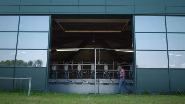 Livestock Worker Going Milking Facility at Countryside alt