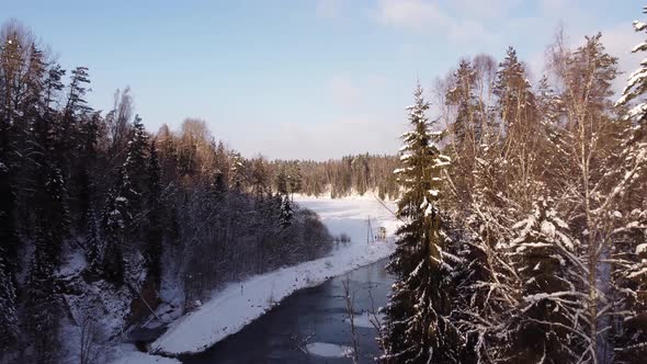 The drone flies between trees over a small forest river