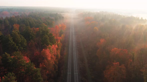 Aerial View of Railroad in Colorful Forest at Foggy Sunrise