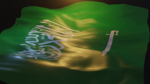 Saudi Arabia Flag Low Angle View